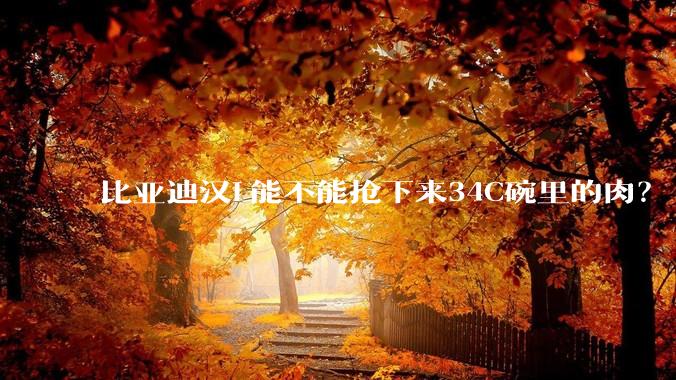 比亚迪汉L能不能抢下来34C碗里的肉？