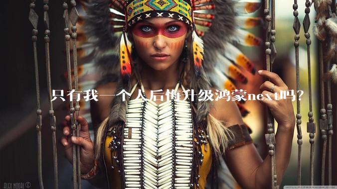 只有我一个人后悔升级鸿蒙next吗？