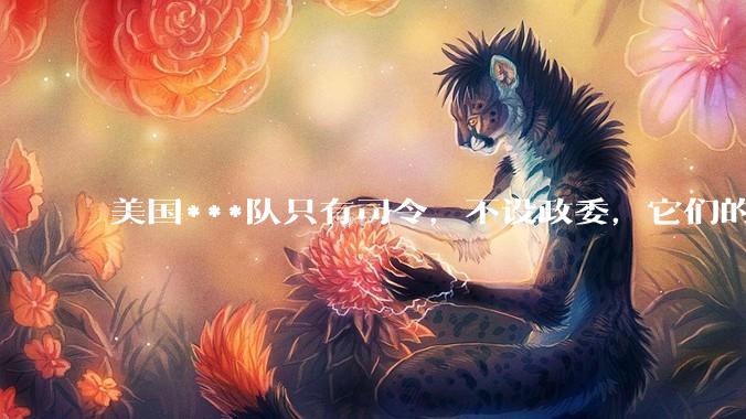 美国***队只有司令，不设政委，它们的文官治***咋实现的？