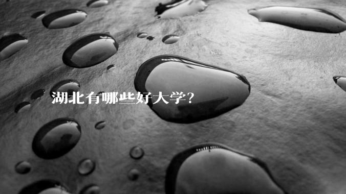 湖北有哪些好大学？
